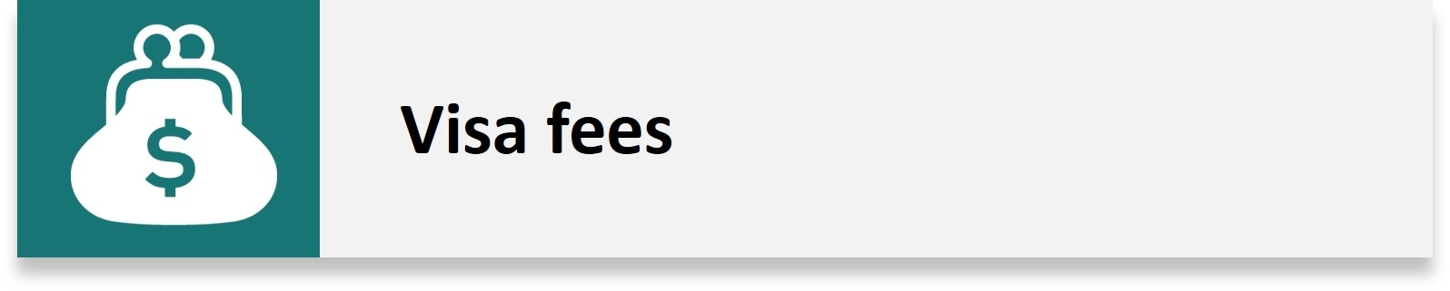 Visa fees