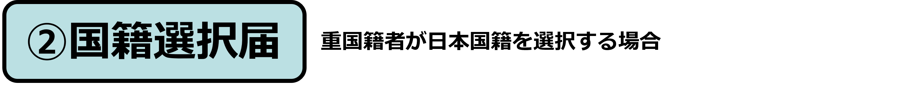 kokuseki-sentaku-icon